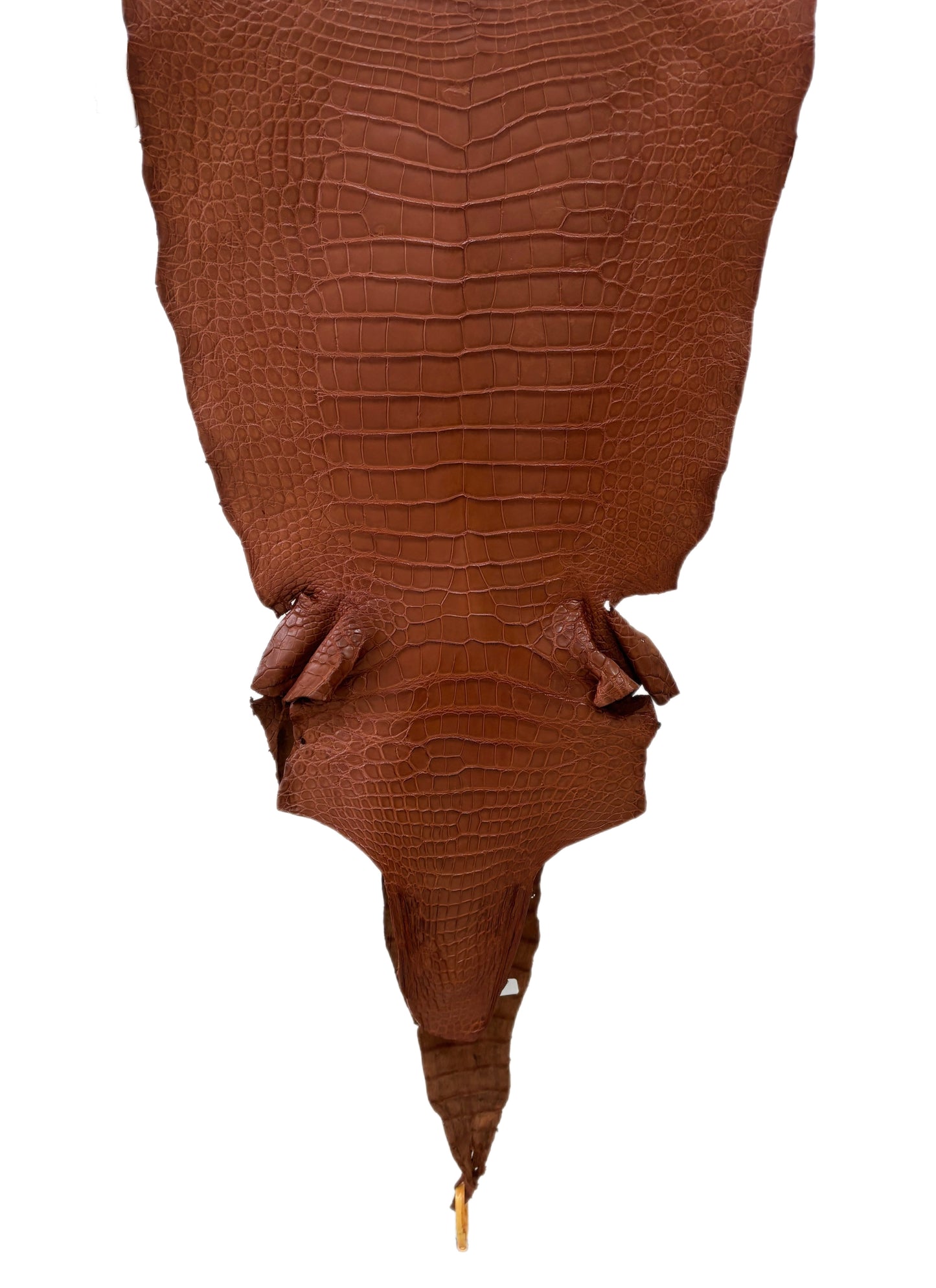 45 cm Grade 3/4 Rustic Cognac Matte Wild American Alligator Leather - Tag: LA17-0040032