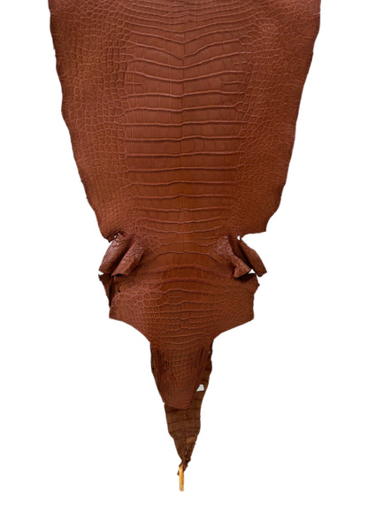 45 cm Grade 3/4 Rustic Cognac Matte Wild American Alligator Leather - Tag: LA17-0040032
