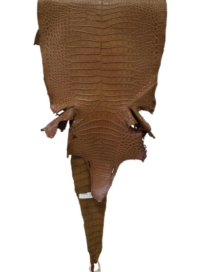 34 cm Grade 1/2 Kango Tabac Matte Farm-Raised American Alligator Leather - Tag: FL17-0036896