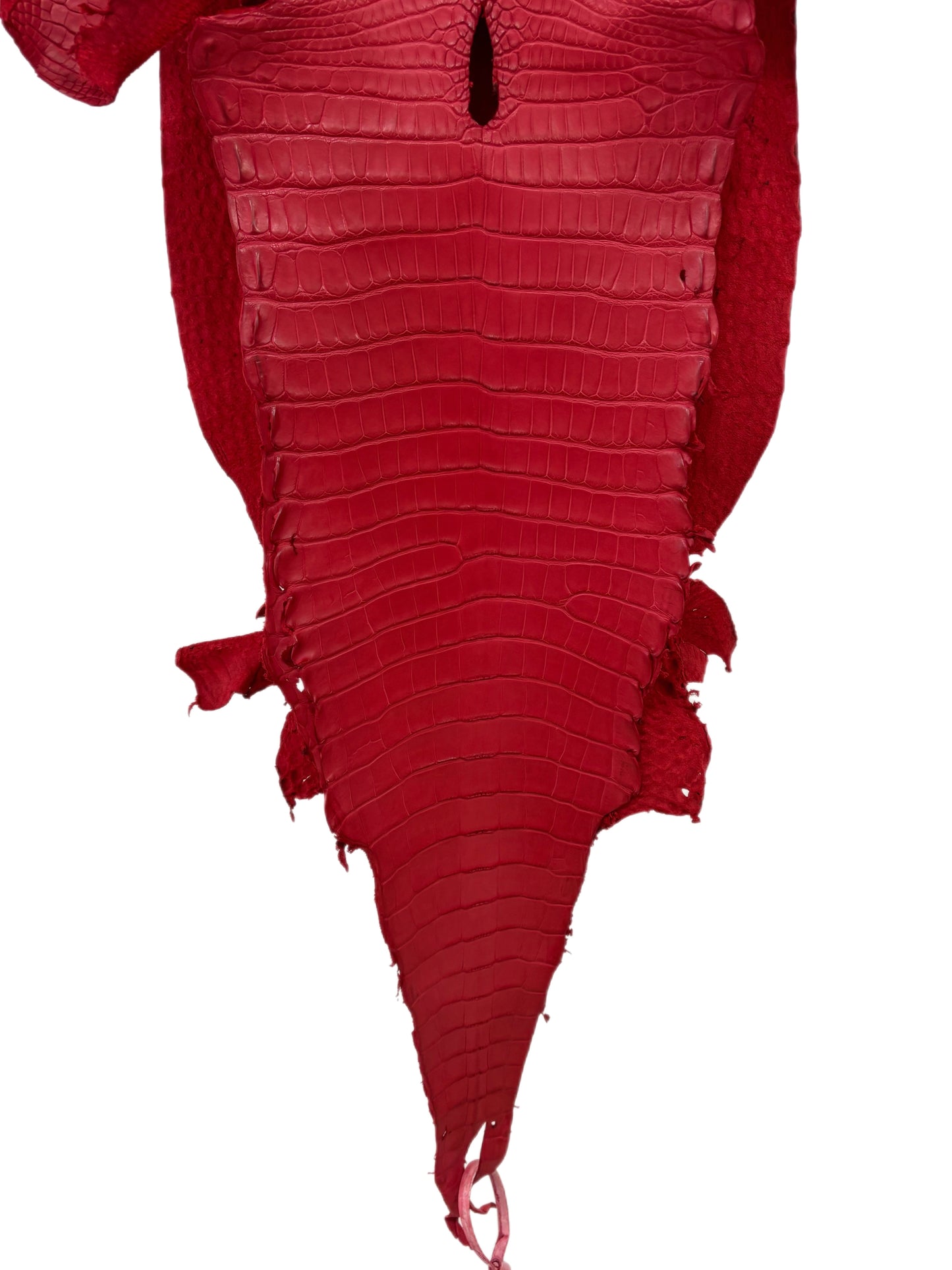 33 cm Grade 1/2 Candy Apple Red Matte Farm-Raised American Alligator Leather - Tag: LA17-0274622