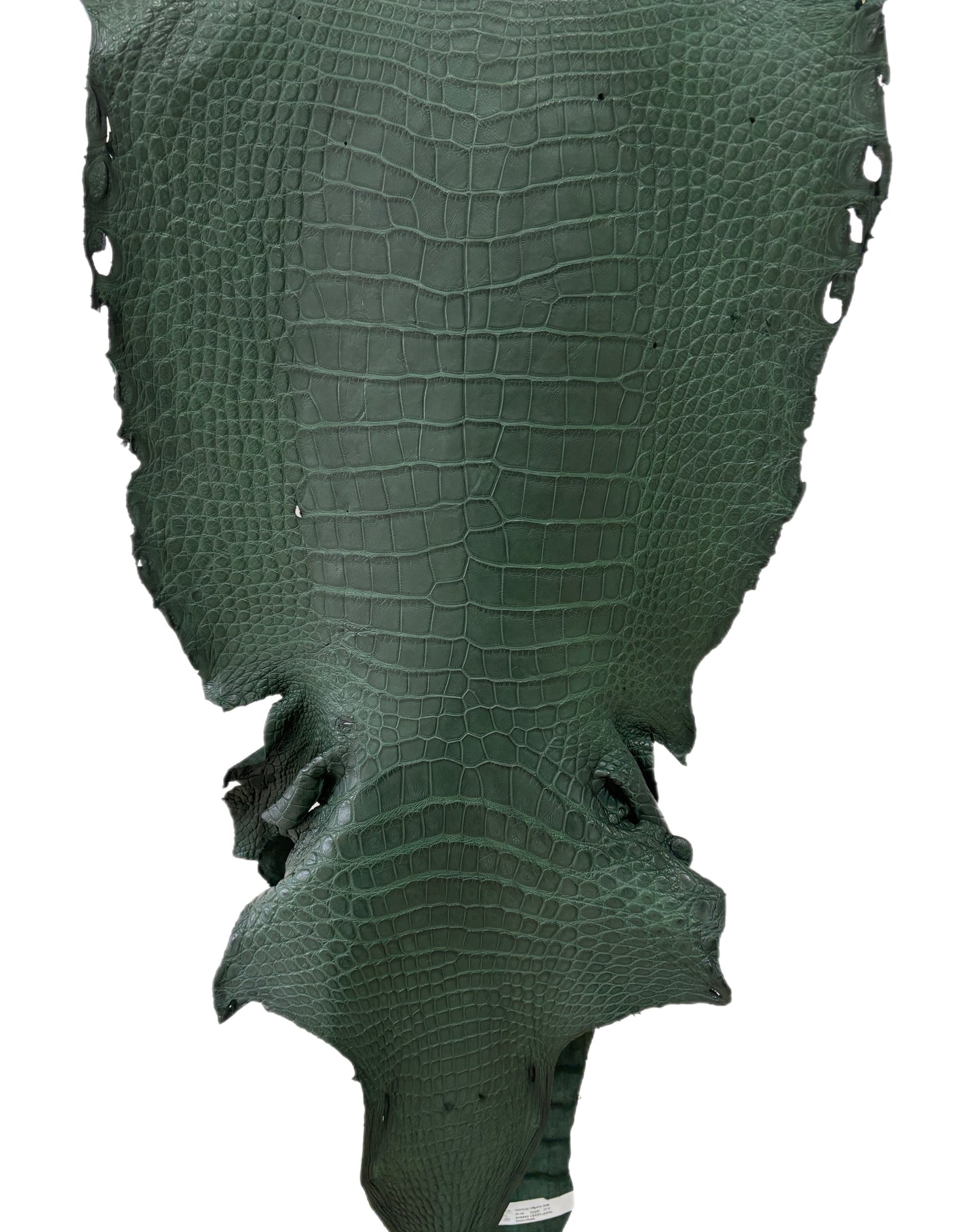 44 cm Grade 4/5 Forest Green Matte Wild American Alligator Leather - Tag: LA23-0003261