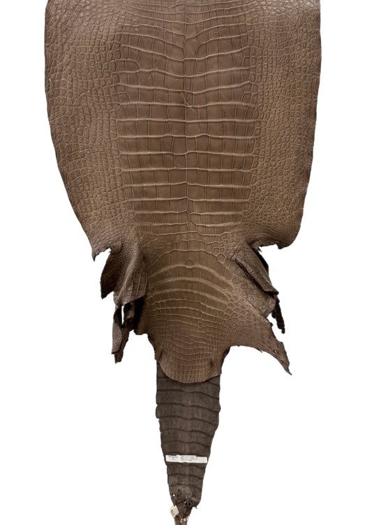 47 cm Grade 3/4 Cocoa Matte Matte Wild American Alligator Leather - Tag: LA23-0027746