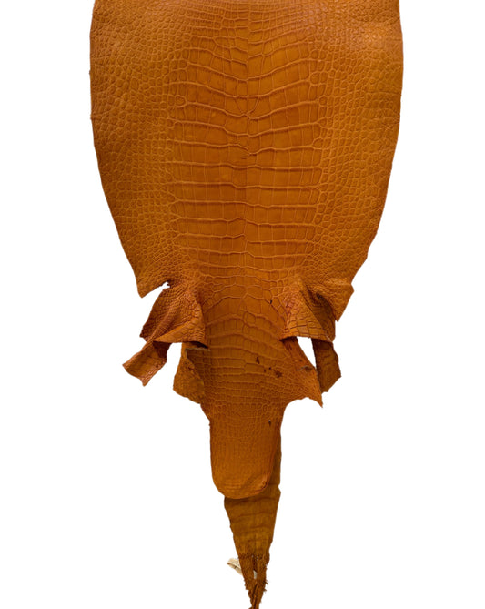 39 cm Grade 3/4 Buttercup Matte Wild American Alligator Leather - Tag: LA23-0002189