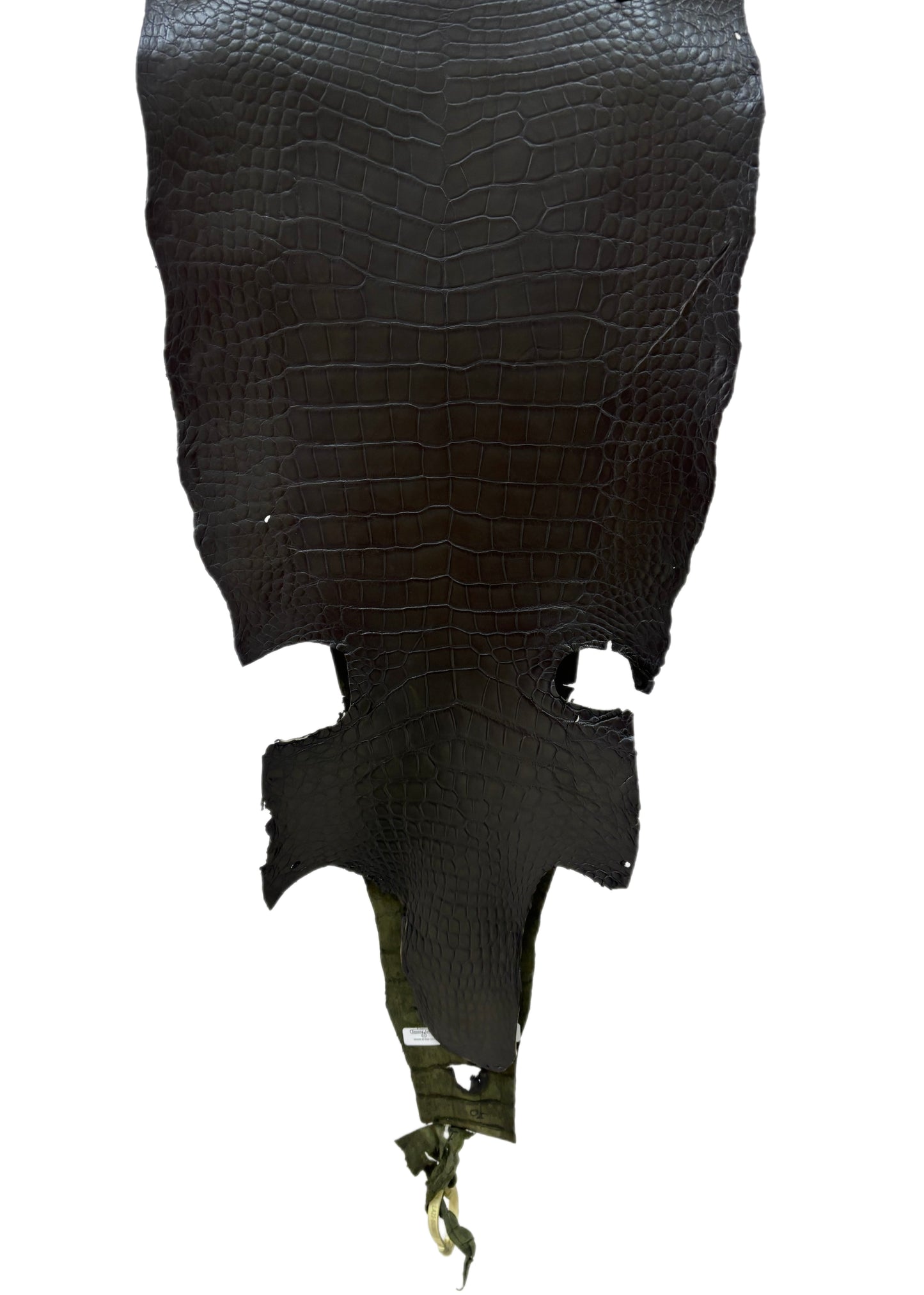 36 cm Grade 2/3 Olive Antique Wild American Alligator Leather - Tag: LA23-0002090