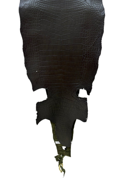 36 cm Grade 2/3 Olive Antique Wild American Alligator Leather - Tag: LA23-0002090