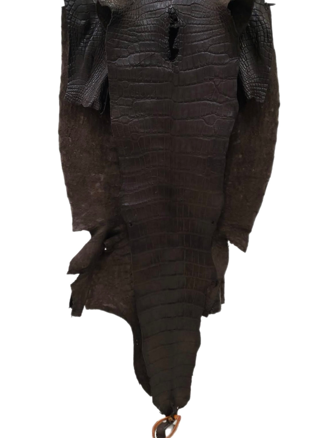 43 cm Grade 3/4 Kralle Brown Matte Wild American Alligator Leather - Tag: LA24-0022890