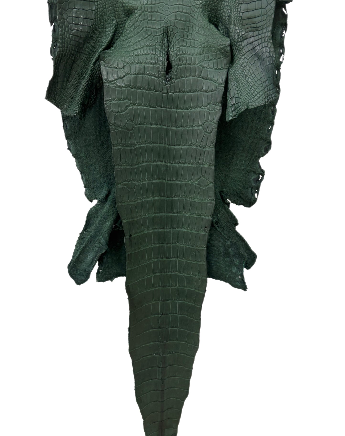 35 cm Grade 2/3 Forest Green Matte Wild American Alligator Leather - Tag: LA23-0034168