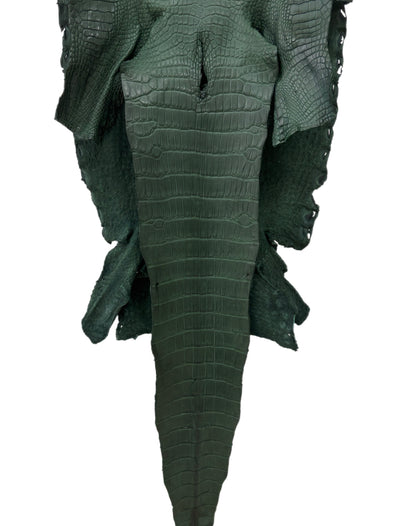 35 cm Grade 2/3 Forest Green Matte Wild American Alligator Leather - Tag: LA23-0034168