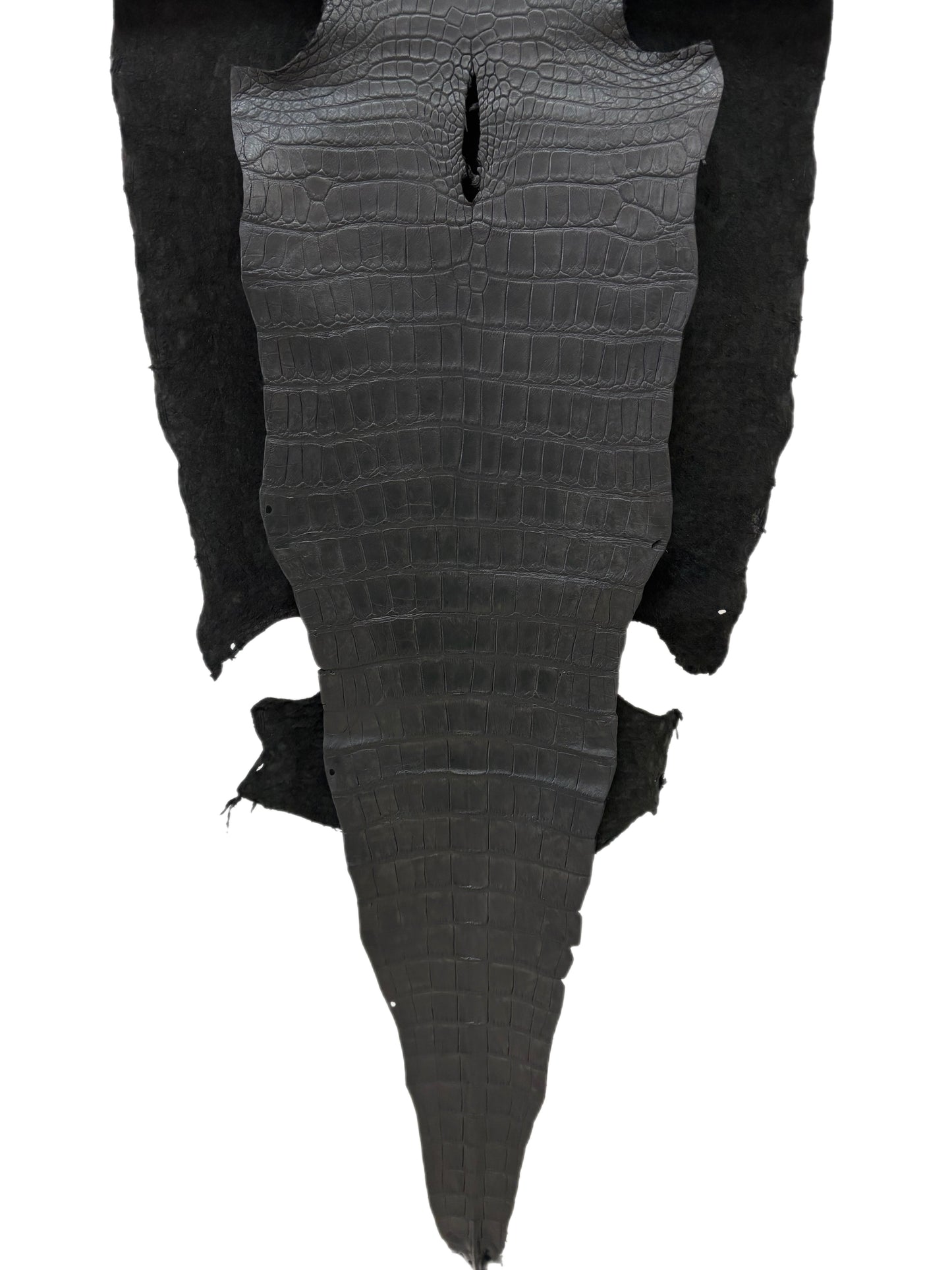 51 cm Grade 2/3 Black Matte Wild American Alligator Leather - Tag: LA18-0038647