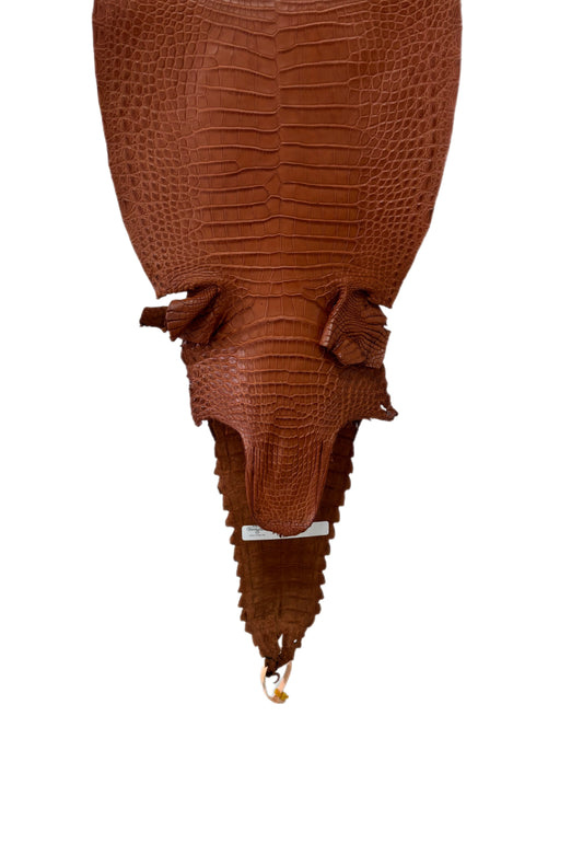 32 cm Grade 2/3 Cognac Matte Farm-Raised American Alligator Leather - Tag: FL17-0052941