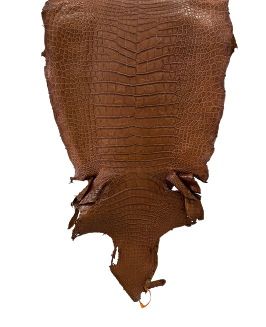 45 cm Grade 4/5 Cigar Matte Wild American Alligator Leather - Tag: LA23-0023795