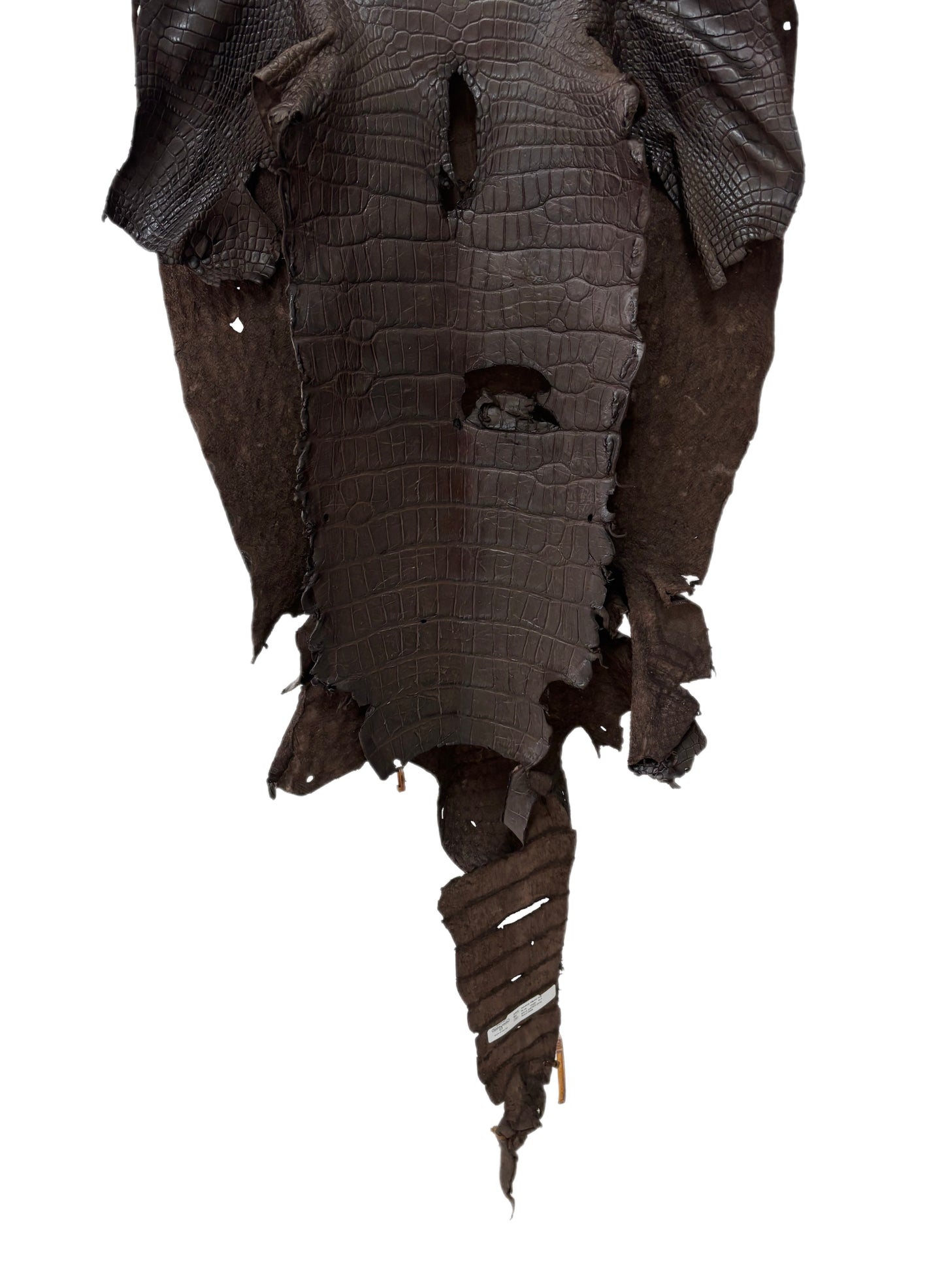 53 cm Grade 4/5 Dark Chocolate Matte Wild American Alligator Leather - Tag: LA23-0003343