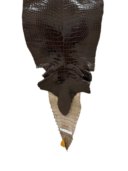 37 cm Grade 1/2 Sport Rust Brown Glazed Farm-Raised American Alligator Leather - Tag: GA14-0021495