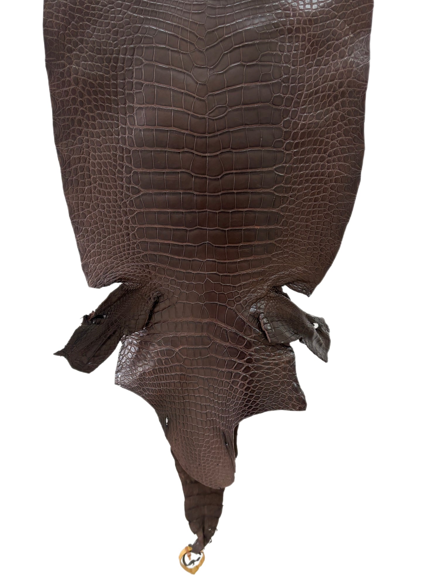 40 cm Grade 2/3 Chocolate Matte Wild American Alligator Leather - Tag: LA23-0051979