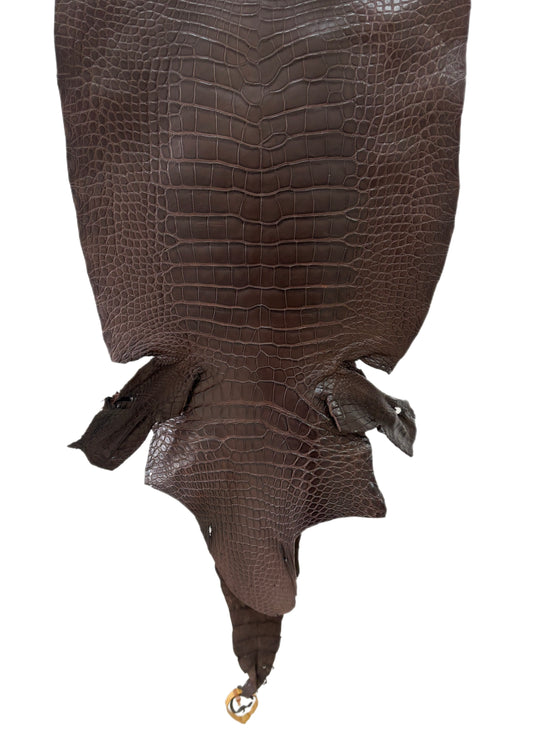 40 cm Grade 2/3 Chocolate Matte Wild American Alligator Leather - Tag: LA23-0051979