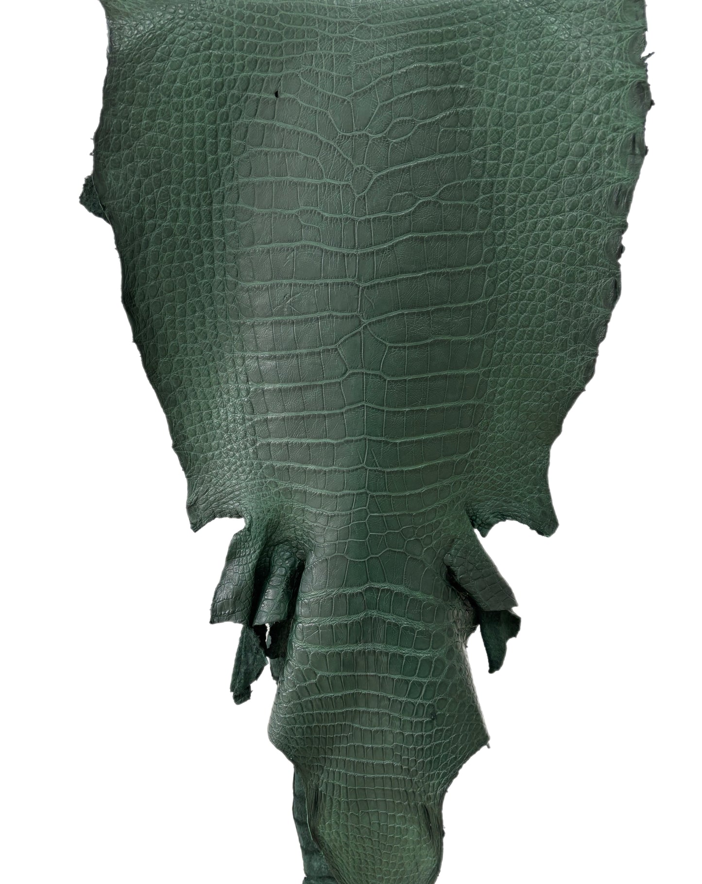 43 cm Grade 4/5 Forest Green Matte Wild American Alligator Leather - Tag: LA23-0047361