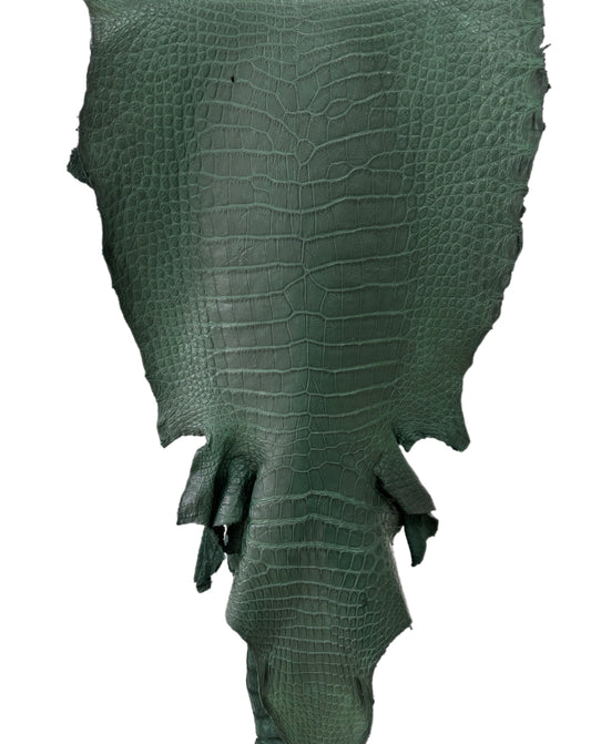 43 cm Grade 4/5 Forest Green Matte Wild American Alligator Leather - Tag: LA23-0047361