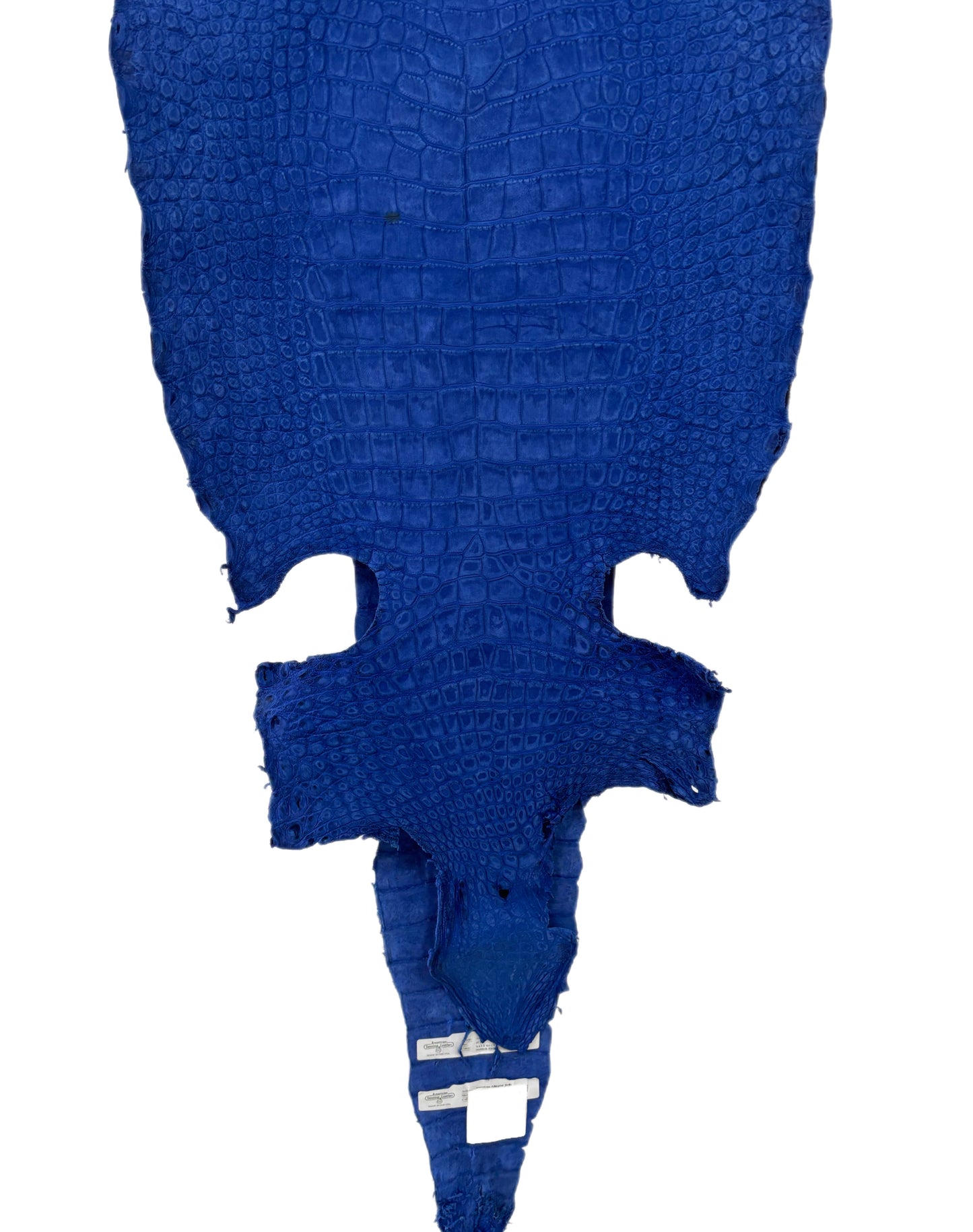 41 cm Grade 2/3 Cobalt Blue Nubuck Wild American Alligator Leather - Tag: LA22-0031230