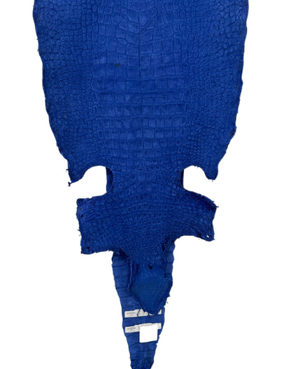41 cm Grade 2/3 Cobalt Blue Nubuck Wild American Alligator Leather - Tag: LA22-0031230