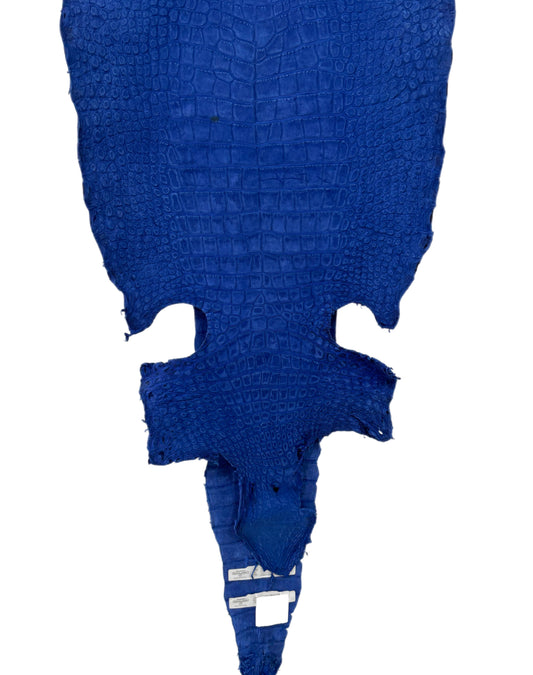 41 cm Grade 2/3 Cobalt Blue Nubuck Wild American Alligator Leather - Tag: LA22-0031230