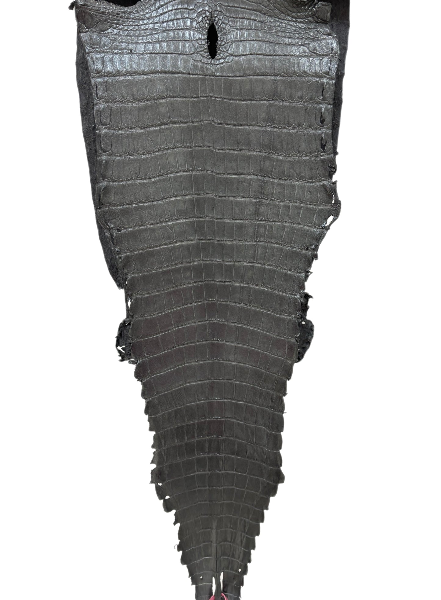 31 cm Grade 1/2 Gunmetal Matte Farm-Raised American Alligator Leather - Tag: FL21-0024370