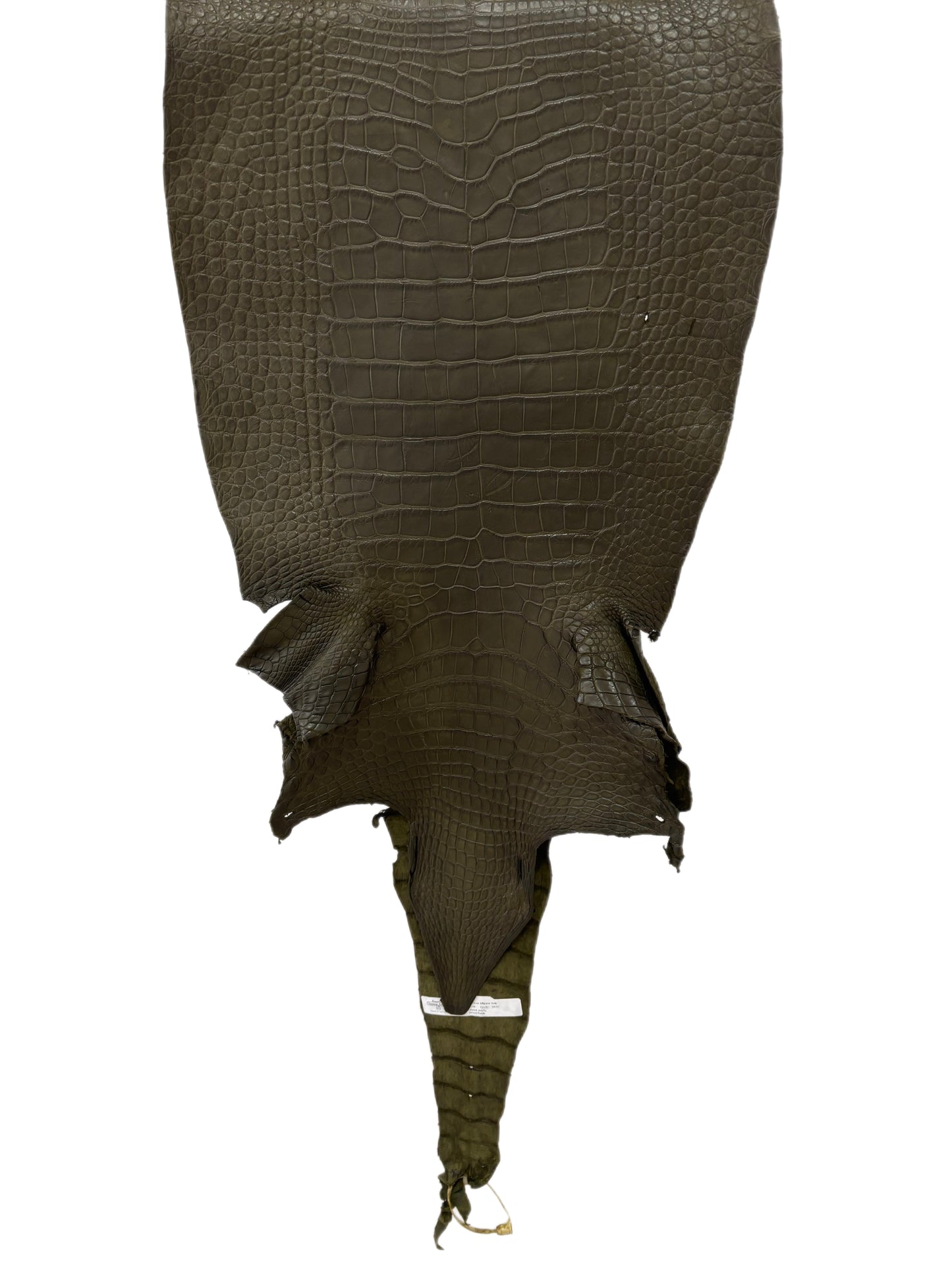 43 cm Grade 3/4 Olive Matte Wild American Alligator Leather - Tag: LA23-0048119