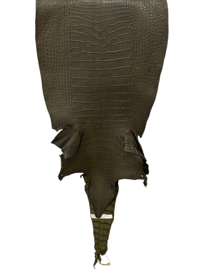 43 cm Grade 3/4 Olive Matte Wild American Alligator Leather - Tag: LA23-0048119