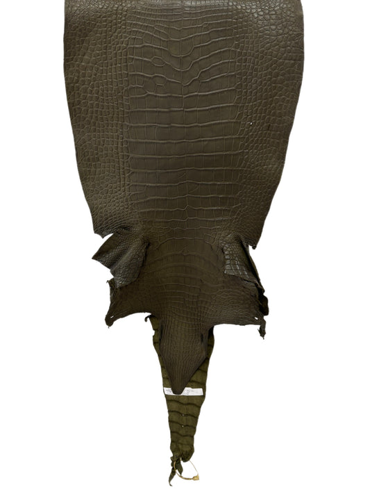43 cm Grade 3/4 Olive Matte Wild American Alligator Leather - Tag: LA23-0048119