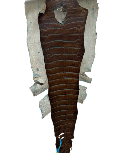 30 cm Grade 2/3 Pacifica Matte Wild American Alligator Leather - Tag: ESRE-0050911