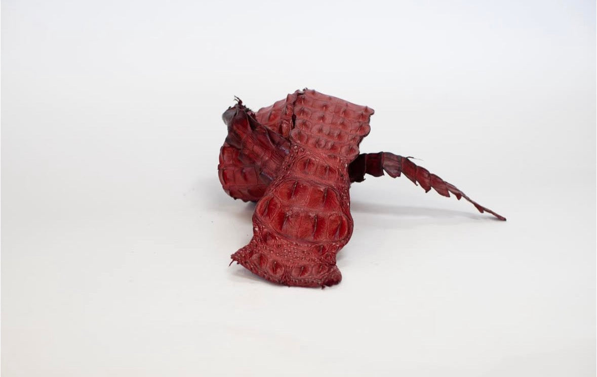 90-99 Cm Grade 1 Red Matte Nile Crocodile Backstrap Leather