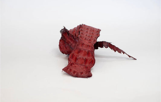 90-99 Cm Grade 1 Red Matte Nile Crocodile Backstrap Leather