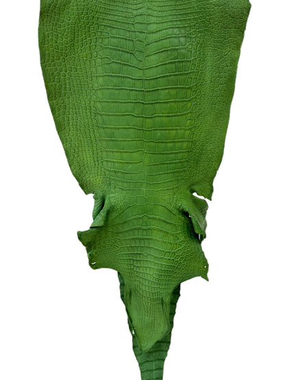 41 cm Grade 3/4 Jungle Green Matte Wild American Alligator Leather - Tag: LA23-0016877