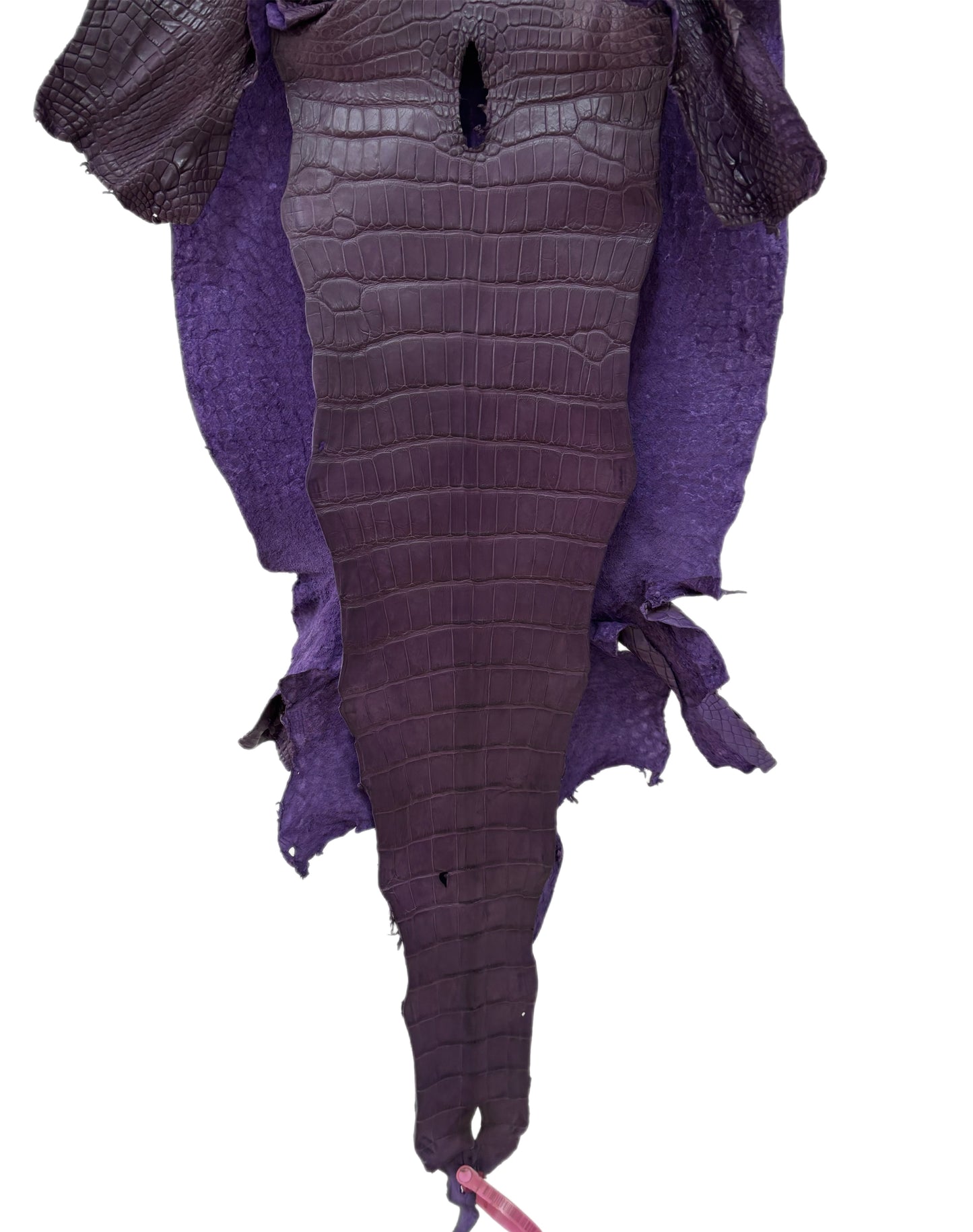 36 cm Grade 2/3 Aubergine Matte Wild American Alligator Leather - Tag: LA23-0027076
