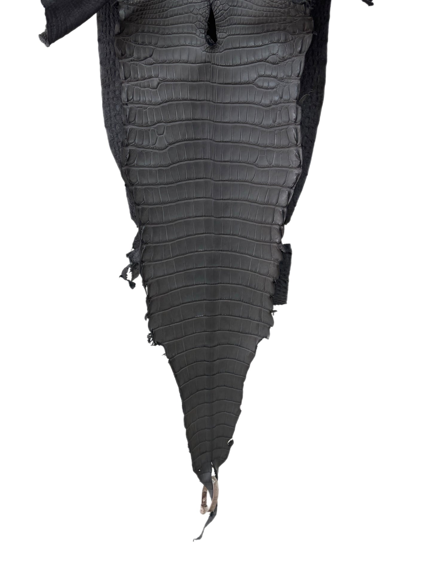 31 cm Grade 1/2 Serpentine Grey Matte Farm-Raised American Alligator Leather - Tag: LA17-0274606