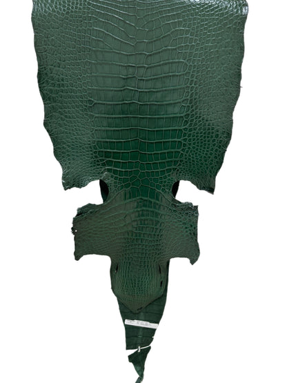 43 cm Grade 1/2 Forest Green Millennium Wild American Alligator Leather - Tag: LA16-0010435