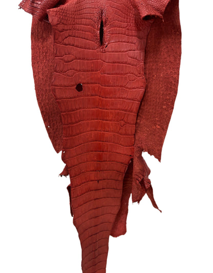 48 cm Grade 2/3 Marziale Matte Wild American Alligator Leather - Tag: LA23-0002750