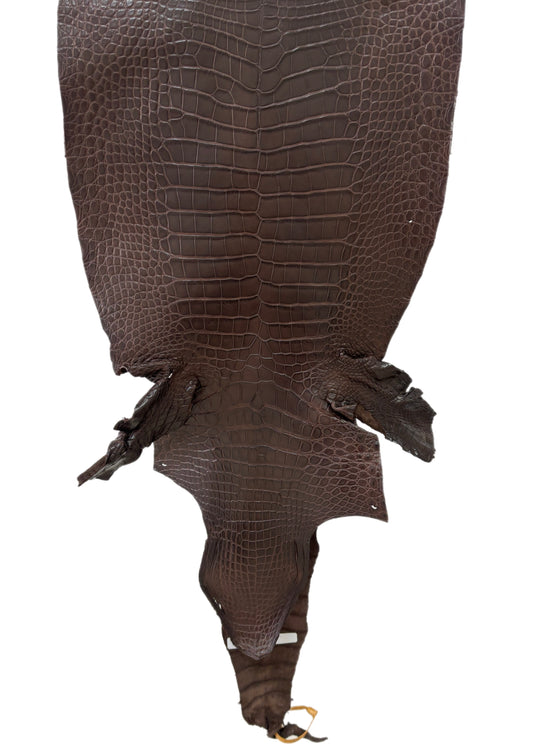 40 cm Grade 3/4 Chocolate Matte Wild American Alligator Leather - Tag: LA23-0027405