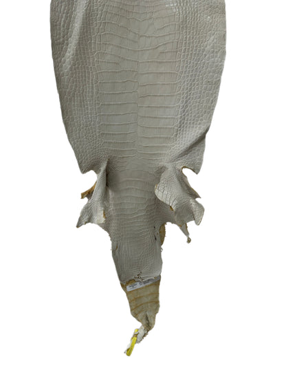 36 cm Grade 2/3 Dune Matte Wild American Alligator Leather - Tag: LA25-0008719
