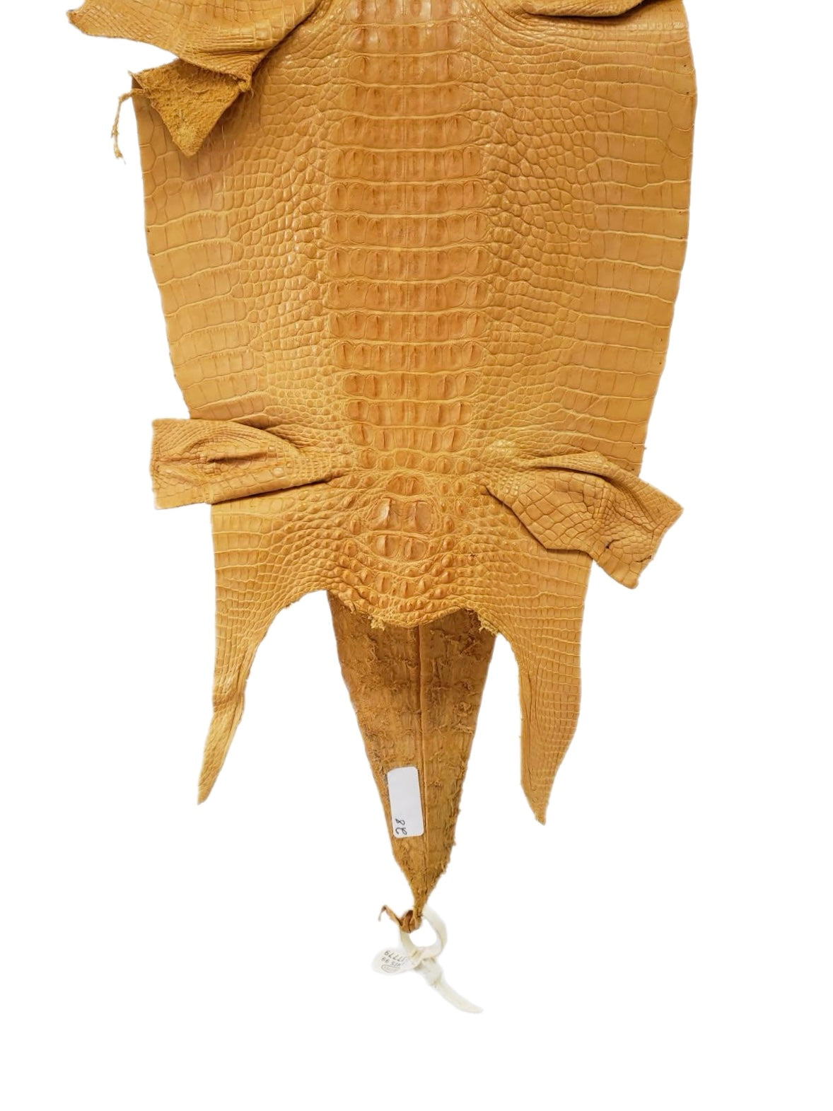 28 cm Grade 2/3 Buttercup Matte Farm-Raised American Alligator Hornback Leather - Tag: LA99-0137779