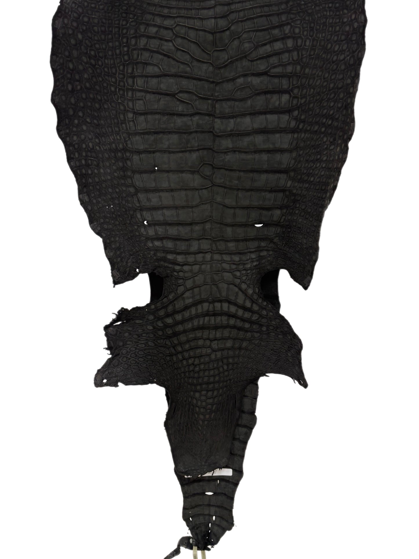 48 cm Grade 3/4 Black Nubuck Wild American Alligator Leather - Tag: LA23-0013464