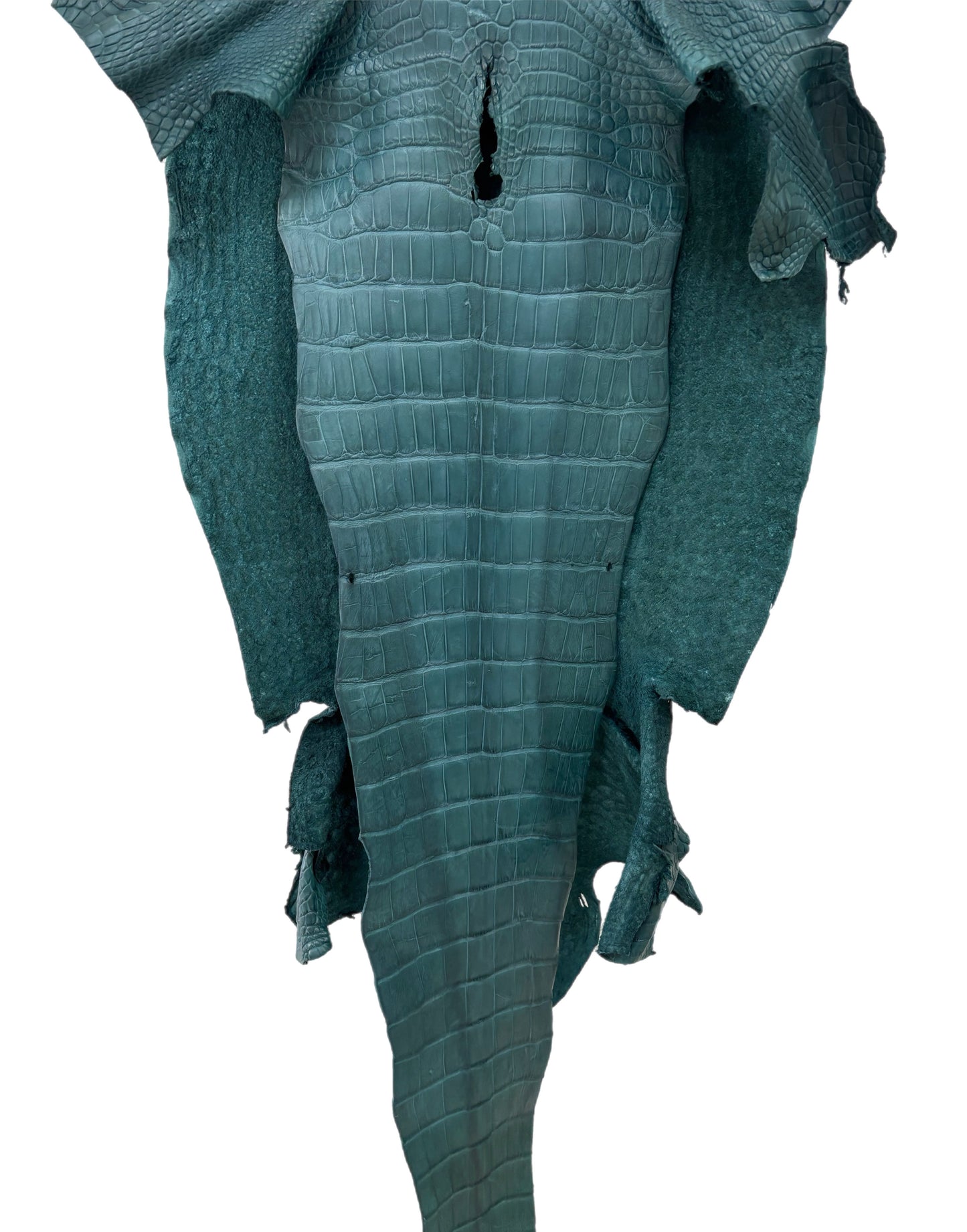 46 cm Grade 2/3 Teal Matte Wild American Alligator Leather - Tag: LA23-0024035