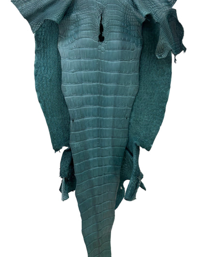 46 cm Grade 2/3 Teal Matte Wild American Alligator Leather - Tag: LA23-0024035