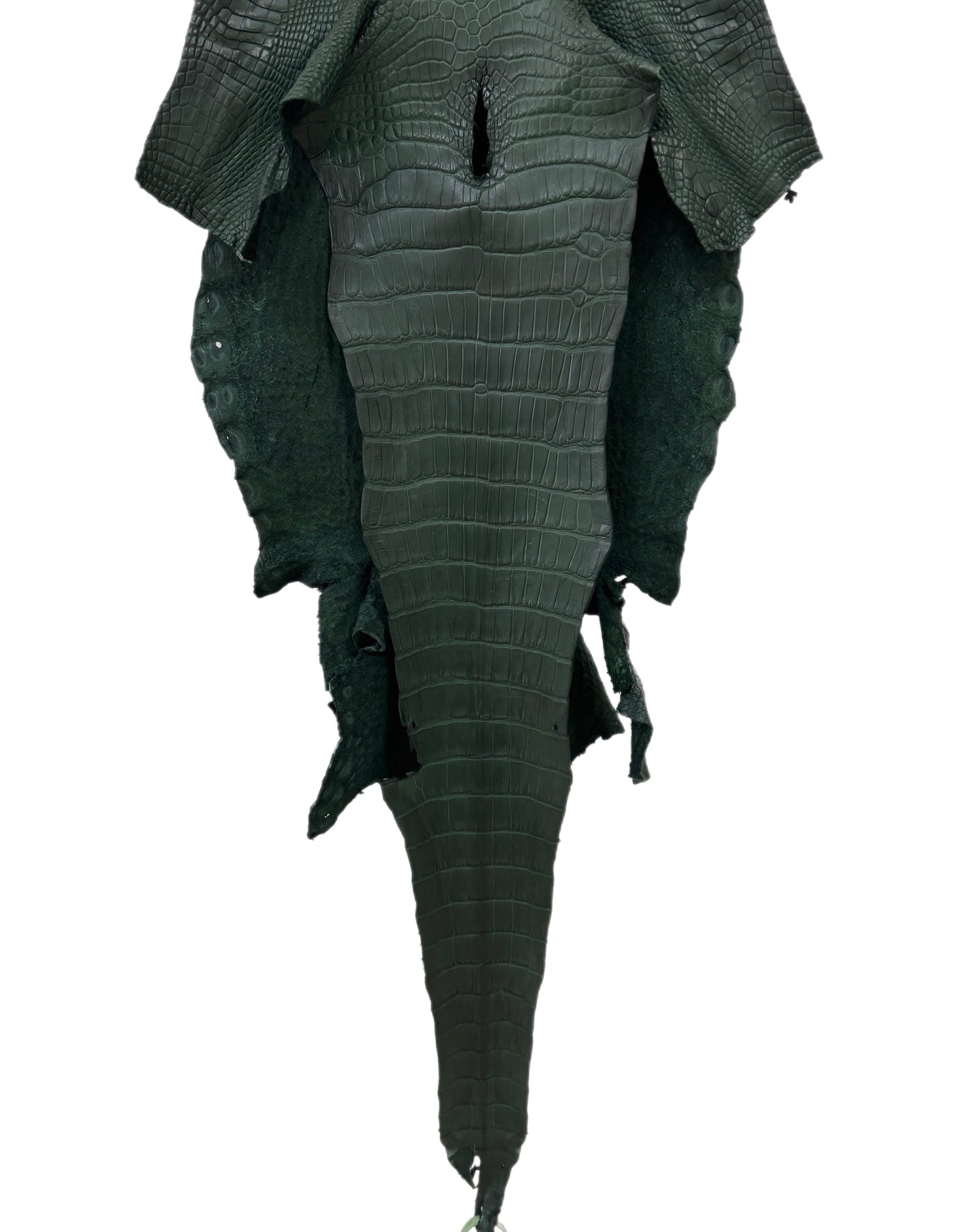 32 cm Grade 1/2 Forest Green Matte Wild American Alligator Leather - Tag: LA23-0024156