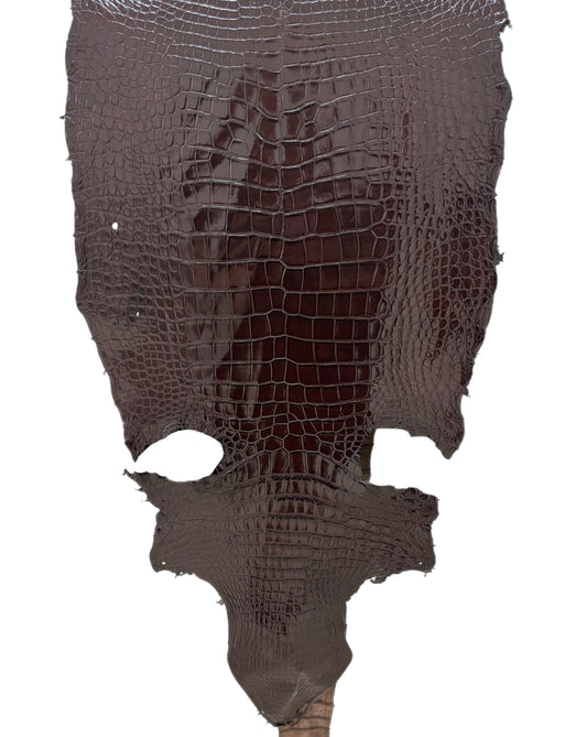 46 cm Grade 3/4 Chocolate Millennium Wild American Alligator Leather - Tag: LA23-0019693