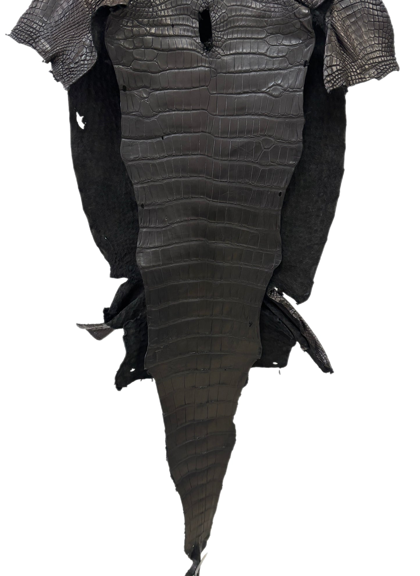 38 cm Grade 2/3 Black Matte Wild American Alligator Leather - Tag: LA23-0049974