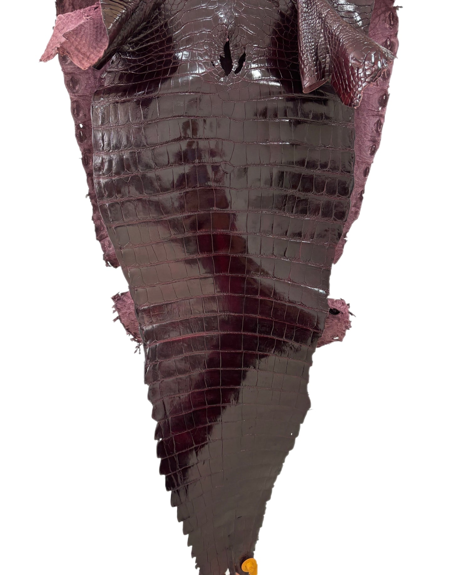 42 cm Grade 2/3 Burgundy Glazed Farm-Raised American Alligator Leather - Tag: GA13-0024548