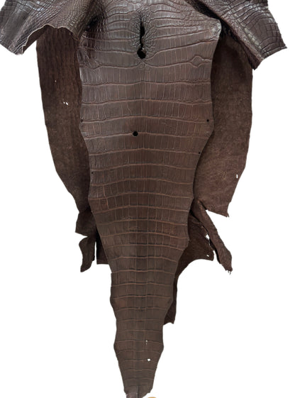 49 cm Grade 3/4 Chocolate Matte Wild American Alligator Leather - Tag: LA23-0048120