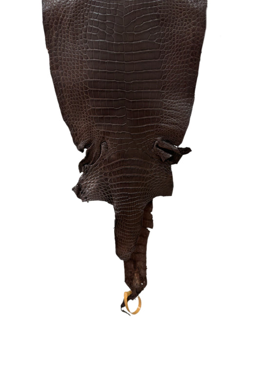 28 cm Grade 1/2 Chocolate Matte Wild American Alligator Leather - Tag: LA23-0047013