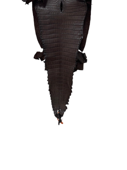 29 cm Grade 2/3 Chocolate Matte Farm-Raised American Alligator Leather - Tag: FL21-0024447