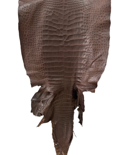 46 cm Grade 2/3 Chocolate Matte Wild American Alligator Leather - Tag: LA12-0011183